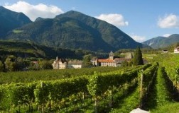 abbazia di novacella alto adige valle isarco sylvaner praepositus vino bianco panorama vigneti foto santini