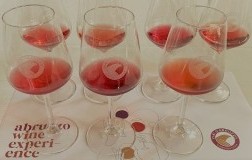 Abruzzo Wine Experience cerasuolo