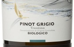 Agririva Trentino Pinot Grigio Vista Lago Bio