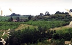 Agricola Tamburini Emanuela paesaggio