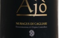 Ajo-2013.jpg
