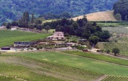 altarocca wine resort cantina vini umbria panorama albaco