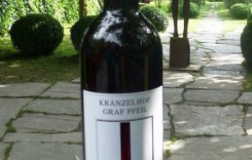 Alto-Adige-Meranese-Huegel-2011.png