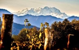 alto piemonte ghemme panorama torraccia del piantavigna