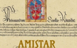 Amistar-2012.png