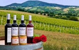 Angeli di Varano conero Marche