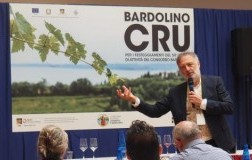 angelo peretti bardolino cru