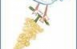 Ansonaco-Carfagna-2010.png