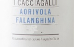 Aorivola-Falanghina-2013.png