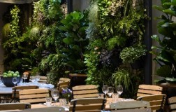Aperta a Roma l'Hosteria del Mercato, 100% naturale