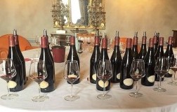 Marina Cvetić, il Montepulciano artigianale del futuro (2)