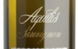 Aquilis-2013.jpg