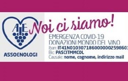 Assoenologi-noi-ci-siamo-donazioni-coronavirus