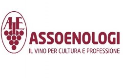 Assoenologi logo