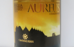 Aureus-2009.jpg