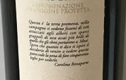 I Borboni Asprinio di Aversa Vite Maritate 2018