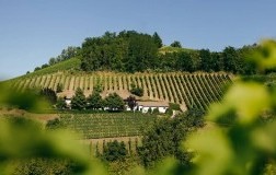 Avezza Territorio