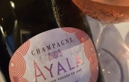 Ayala-Rose-n.8.jpg