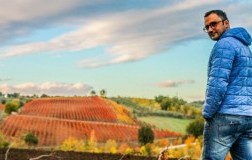 nardone nardone aglianico irpinia doc vino rosso campania 