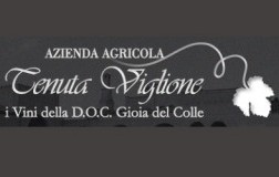 tenuta Viglione cantina vini Puglia logo