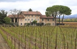 Borgo Conventi azienda
