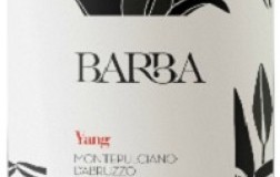 Barba Montepulciano d'Abruzzo Colline Teramane Yang 2019