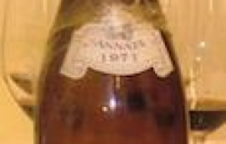 Barolo-Riserva-Selezione-1974.jpg
