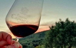 Baroni Capoano cantina Calabria