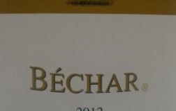 Bechar-2012.jpg