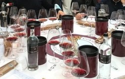 Benvenuto Brunello 2021