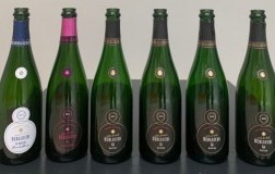 berlucchi franciacorta '61 bottiglie