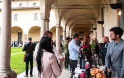 Best Wine Stars 2019