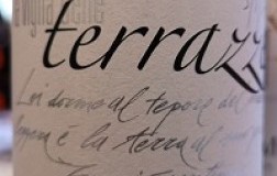 Claudio Morelli Bianchello del Metauro La Vigna delle Terrazze 2018