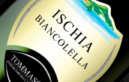 Biancolella-2011.jpg