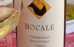Bocale Trebbiano Spoletino vino bianco Umbria