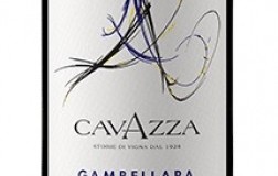 Bocaria-2015.jpg