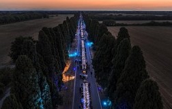 Bolgheri DiVino cena sul viale dei cipressi tramonto