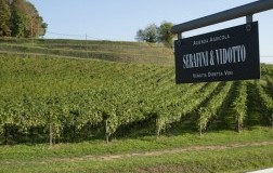 Bollicine di Prosecco Extra Dry di Serafini & Vidotto