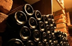 Bordolesi ieri e oggi: la gioventù (2)