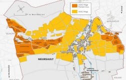 Borgogna Grandi Firme (2): Meursault (Blanc)