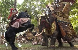 Bucefalo, una birra che è un cavallo di razza