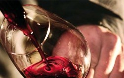 Buona personalità per i Rosso di Montalcino 2015