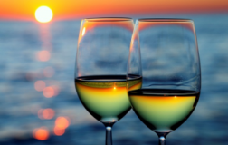 Buone Vacanze!  di Redazione 10-08-2015