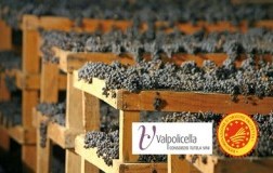 CS Consorzio Valpolicella Anteprima Amarone 2022