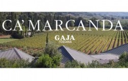 Ca-Marcanda.jpg