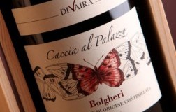 Caccia-al-Palazzo-2014.jpg