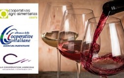 Le cooperative vinicole francesi, italiane e spagnole, che rappresentano oltre il 50% della produzione europea, hanno fatto il punto sul futuro del settore nell’ambito della piattaforma Wine Institute del Farm Europe e chiedono che l'Europa prolunghi le mi
