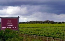 Campari vende Sella & Mosca e Teruzzi&Puthod