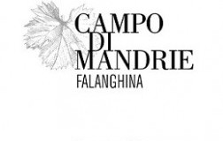 Campo-delle-Mandrie-Falanghina-2014.jpg