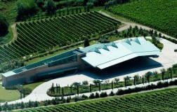 Campodelsole cantina vini emilia romagna panoramica san pascasio romagna pagadebit vino bianco